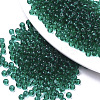 6/0 Transparent Glass Seed Beads SEED-S040-09A-05-1