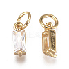 Brass Micro Pave Cubic Zirconia Charms ZIRC-F111-03G-06-2