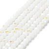 Opaque Glass Beads Strands EGLA-A035-P6mm-L01-1