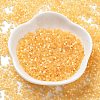 Imitation Cat Eyes Glass Seed Beads SEED-H003-03C-2