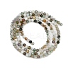 Natural Moss Agate Beads Strands G-RM2025-A33-2mm-3