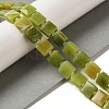 Natural TaiWan Jade Beads Strands G-L596-A10-01-2