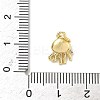 Brass Micro Pave Cubic Zirconia Charms ZIRC-I356-13G-06-3