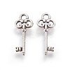 Tibetan Style Alloy Pendants LS-TIBEP-16626-AS-NR-1