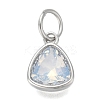 304 Stainless Steel Cubic Zirconia Pendant ZIRC-P080-B05-1