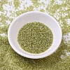 MIYUKI Delica Beads SEED-X0054-DB0124-2