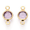 304 Stainless Steel with Glass Connector Charms STAS-G305-08G-09-2