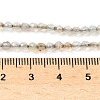 Natural Agate Beads Strands G-H302-A04-01-2
