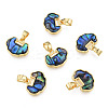 Synthetic Abalone Shell/Paua Shell Charms with Real 18K Gold Plated Brass Findings KK-N233-426-2