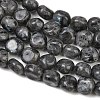 Natural Larvikite Beads Strands GG-CBA787B-A37-3