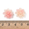 Synthetic Shell Dyed Beads SHEL-C006-01D-3