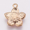 Zinc Alloy Enamel Pendants LS-X-PALLOY-I124-10G-B-2