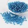 6/0 Round Silver Lined Round Hole Glass Seed Beads X-SEED-A005-4mm-23-1