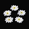 Natural White Shell Pendants SHEL-T020-66-1