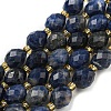 Natural Sodalite Beads Strands G-N342-57-1