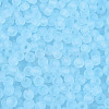 FGB Frosted Transparent Glass Seed Beads SEED-N013-02A-11-3