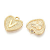 Alloy Pendants PALLOY-N157-001V-NR-2