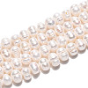 Natural Cultured Freshwater Pearl Beads Strands PEAR-N026-03-2