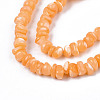 Natural Sea Shell Beads Strands SSHEL-S278-131E-3