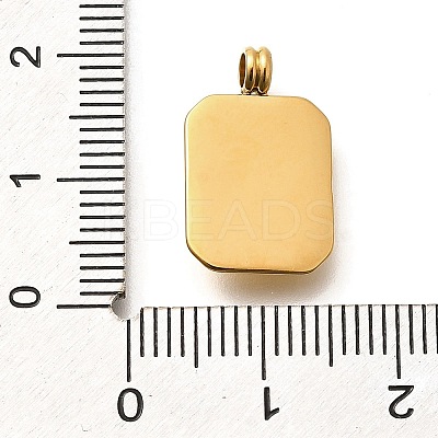 304 Stainless Steel Rhinestone Pendants STAS-M109-09G-1