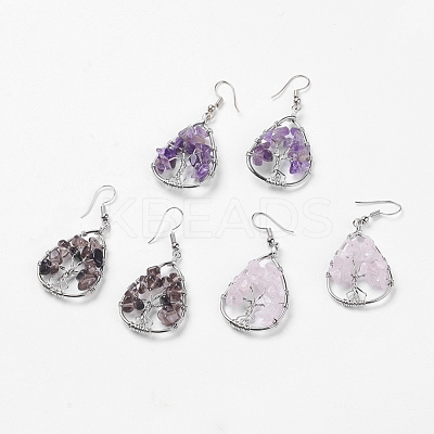 Natural Gemstone Dangle Earrings EJEW-P136-A-1