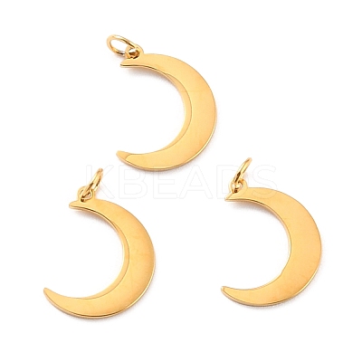 Ion Plating(IP) 316 Surgical Stainless Steel Charms STAS-L265-06G-1