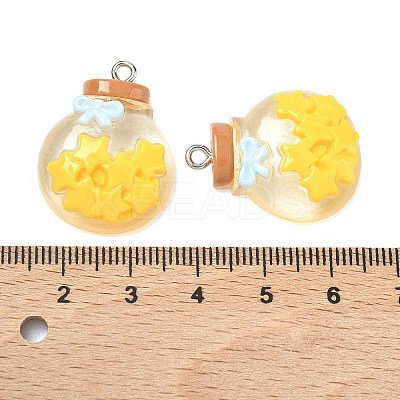 Transparent Resin Pendants LS-RESI-K203-19-1
