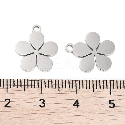 Non-Tarnish 316 Stainless Steel Charms X-STAS-C096-10C-P-1