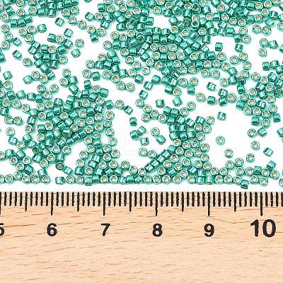 MIYUKI Delica Beads SEED-MY11-DB2505-1