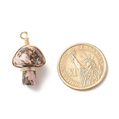 Natural Rhodonite Pendants PALLOY-JF01134-03-1