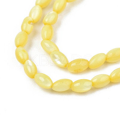 Natural Freshwater Shell Beads Strands X-SHEL-N003-25-B05-1