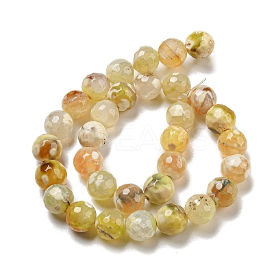 Faceted Natural Fire Crackle Agate Beads Strands X-G-F447-12mm-H01-1