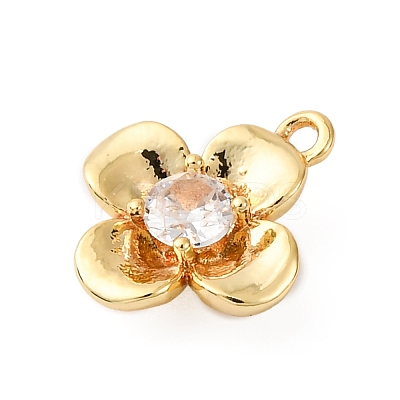Brass Pave Clear Cubic Zirconia Charms LS-KK-V016-20G-1
