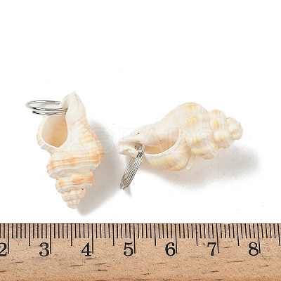 Natural Spiral Shell Pendants SHEL-K006-68C-1