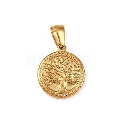 304 Stainless Steel Pendants STAS-Z171-06G-1