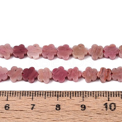 Natural Rhodonite Beads Strands G-N257-24A-09-1