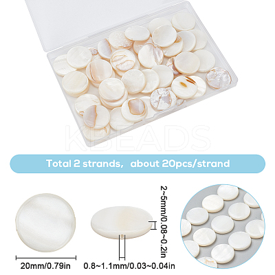 2 Strands Natural Freshwater Shell Beads BSHE-SC0001-20B-1