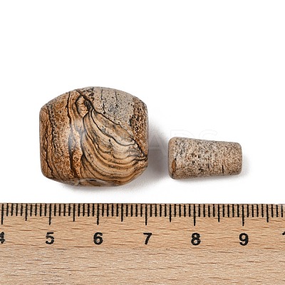 Natural Picture Jasper 3 Hole Guru Beads G-F795-G01-1