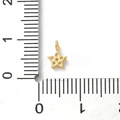 Brass Micro Pave Cubic Zirconia Charms LS-KK-S513-09B-G-1