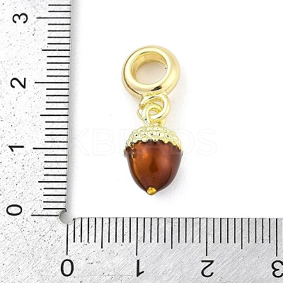 Brass Enamel Fruit European Dangle Charms KK-Z090-08G-08-1