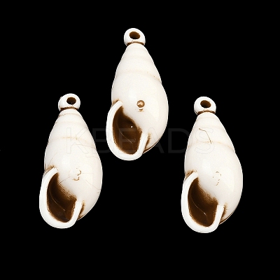 Spray Painted Opaque Acrylic Pendants ACRP-F003-03S-1
