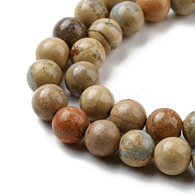 Natural Aqua Terra Jasper Strands G-S150-50-10mm-1