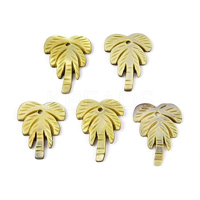 Natural Freshwater Shell Carved Pendants SHEL-N038-23E-1