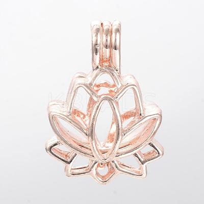 Alloy Diffuser Locket Pendants PALLOY-S062-40RG-1
