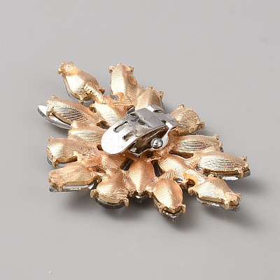 Alloy Crystal Rhinestone Shoe Buckle Clips FIND-WH0110-831-1