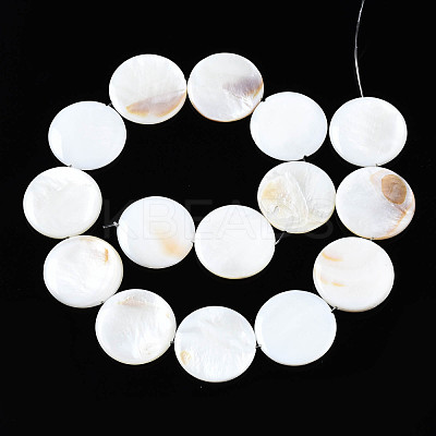 Natural Freshwater Shell Beads Strands SHEL-Q024-006-1