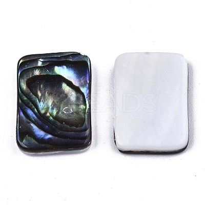 Natural Abalone Shell/Paua Shell Cabochons SSHEL-N034-76B-01-1