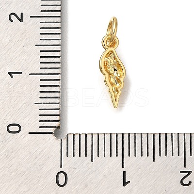 Rack Plating Brass Micro Pave Cubic Zirconia Charms KK-I720-56G-1