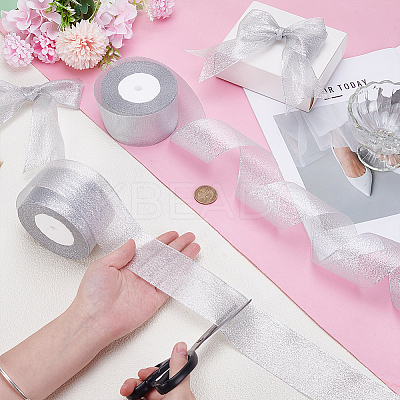 Polyester Ribbon OCOR-WH0070-278D-1