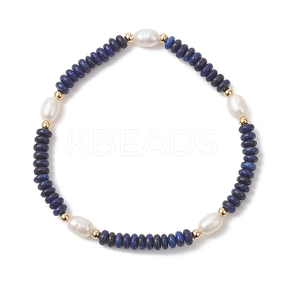 Natural Lapis Lazuli & Cultured Freshwater Pearl Beads Beaded Stretch Bracelets for Women BJEW-JB13322-01-1
